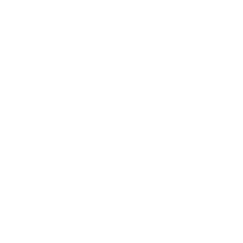 Nextdoor icon